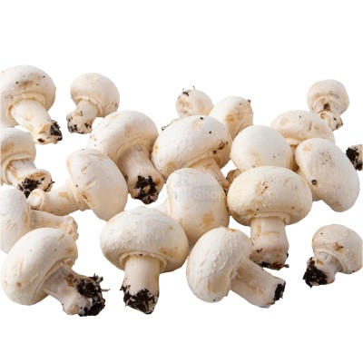 Шампиньоны свежие 500 г - купить в Аканеево